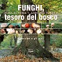 Funghi, tesoro del bosco