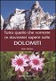 Tutto quello che vorreste  (e dovreste) sapere sulle Dolomiti
