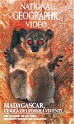 Madagascar, l´isola dei fossili viventi