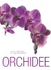 Orchidee.